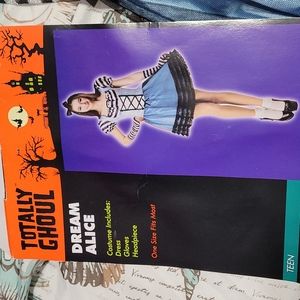 Alice in Wonderland Costume